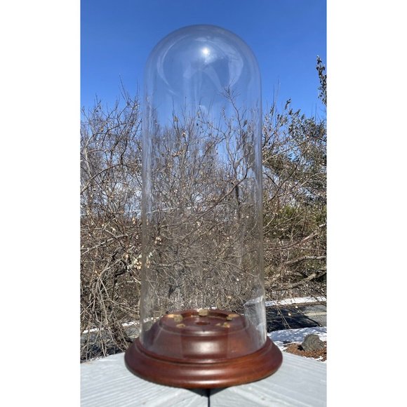 17" Very LARGE Antique - Vintage Glass Cloche Dome Wooden Base Specimen Whimsy - Picture 1 of 14